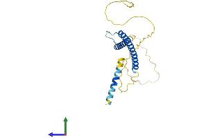 AlphaFold protein structure predicition of Human Recombinant MXI1 Protein, UniprotID P50539 (MXI1 Protein (AA 1-228) (His tag))