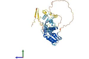 Protein Structure (PS) image for Dual Specificity Phosphatase 6 (DUSP6) (AA 1-381) protein (His tag) (ABIN7561270)