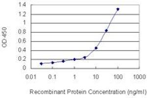 Detection limit for recombinant GST tagged PNN is 0. (PNN antibody  (AA 201-300))
