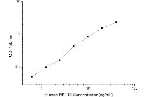 RPL10 ELISA Kit