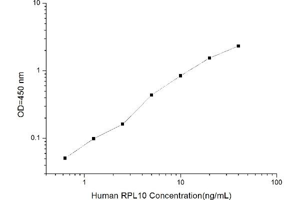 RPL10 ELISA Kit