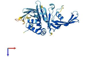 Predicted Gene 527 (GM527) (AA 1-310) protein (His tag)