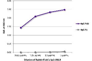 ELISA plate was coated with serially diluted Rabbit F(ab’)2 IgG-UNLB and quantified. (Rabbit IgG isotype control (FITC))