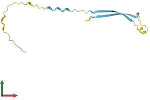 AlphaFold protein structure predicition of Human Recombinant SPANXD Protein, UniprotID Q9BXN6 (SPANXD Protein (AA 1-97) (His tag))
