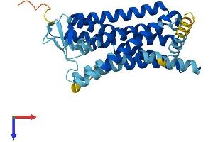 AlphaFold protein structure predicition of Human Recombinant OR13F1 Protein, UniprotID Q8NGS4 (OR13F1 Protein (AA 1-319) (His tag))