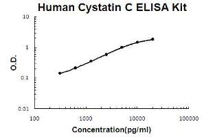 Human Cystatin C PicoKine ELISA Kit standard curve (CST3 ELISA Kit)