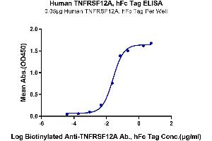 Immobilized Human TNFRSF12A, hFc Tag at 0. (TNFRSF12A Protein (AA 28-80) (Fc Tag))
