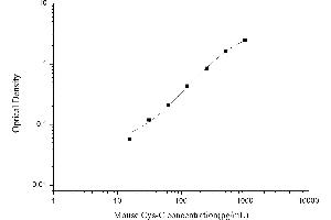 Cystatin C (CST3) ELISA Kit