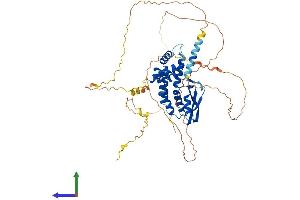 AlphaFold protein structure predicition of Human Recombinant CCDC82 Protein, UniprotID Q8N4S0 (CCDC82 Protein (AA 1-544) (His tag))