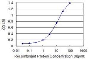Detection limit for recombinant GST tagged RELT is 0. (RELT antibody  (AA 26-124))