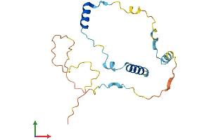 AlphaFold protein structure predicition of Mouse Recombinant Mea1 Protein, UniprotID Q64327 (MEA1 Protein (AA 1-174) (His tag))