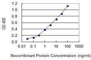 Detection limit for recombinant GST tagged ZNF585A is 0. (ZNF585A antibody  (AA 1-113))