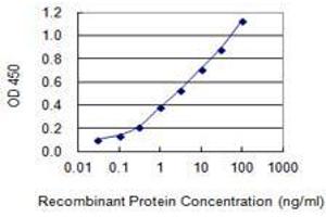 Detection limit for recombinant GST tagged ZNF585A is 0. (ZNF585A antibody  (AA 1-113))