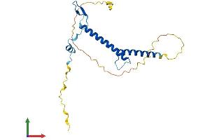 AlphaFold protein structure predicition of Human Recombinant FIGLA Protein, UniprotID Q6QHK4