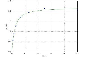 Pyruvate Dehydrogenase Kinase, Isozyme 4 (PDK4) ELISA Kit