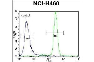 anti-UNQ3029 (AA 62-91) antibody