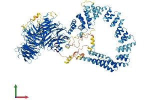 AlphaFold protein structure predicition of Human Recombinant ELP1 Protein, UniprotID O95163 (IKAP/p150 Protein (AA 1-1332) (His tag))