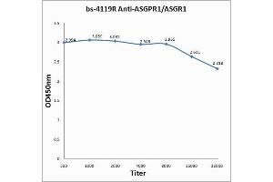 Antigen: 0. (Asialoglycoprotein Receptor 1 antibody  (AA 201-291))