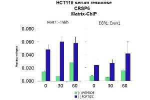 Quiescent human colon carcinoma HCT116 cultures were treated with 10% FBS for three time points (0, 15, 30min) or (0, 30, 60min) were used in Matrix-ChIP and real-time PCR assays at EGR1 gene (Exon1) and 15kb upstream site. (MED17 antibody  (N-Term))