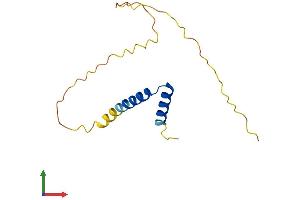 Protein Structure (PS) image for Chromosome Y Open Reading Frame 15B (CYorf15B) (AA 1-131) protein (His tag) (ABIN7544824)
