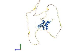 AlphaFold protein structure predicition of Human Recombinant IRF2 Protein, UniprotID P14316