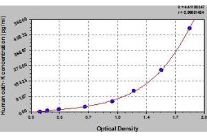 Cathepsin K (CTSK) ELISA Kit