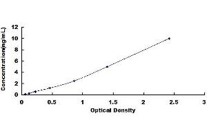 Typical standard curve (CPOX ELISA Kit)