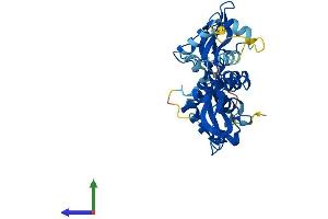Protein Structure (PS) image for Protein Kinase, AMP-Activated, gamma 1 Non-Catalytic Subunit (PRKAG1) (AA 1-331) protein (His tag) (ABIN7551868)