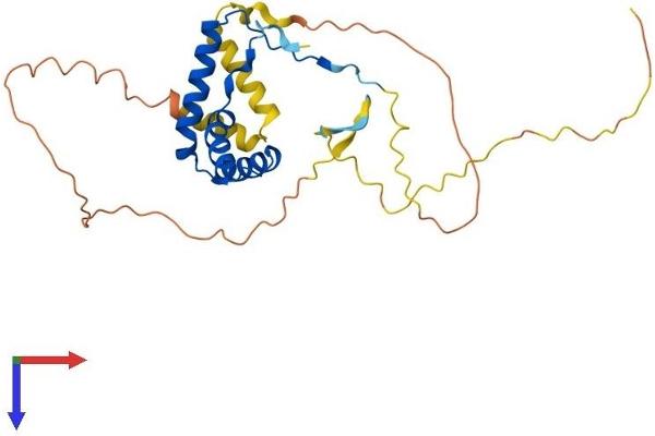 SOX21 Protein (AA 1-276) (His tag)