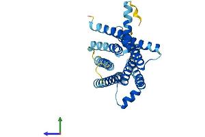 AlphaFold protein structure predicition of Human Recombinant TAS2R46 Protein, UniprotID P59540
