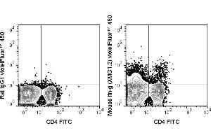 C57Bl/6 splenocytes were stimulated with PMA and Ionomycin and then stained with FITC Anti-Mouse CD4 (ABIN6961823), followed by intracellular staining with 0. (Interferon gamma antibody  (violetFluor™ 450))