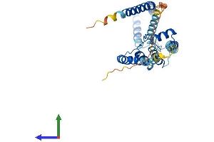 AlphaFold protein structure predicition of Human Recombinant KCNK16 Protein, UniprotID Q96T55 (KCNK16 Protein (AA 1-309) (His tag))