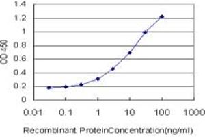 Detection limit for recombinant GST tagged CTNNAL1 is approximately 0. (CTNNAL1 antibody  (AA 277-380))