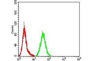 Flow cytometric analysis of Hela cells using MMP2 mouse mAb (green) and negative control (red). (MMP2 antibody  (AA 9-140))