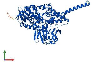 AlphaFold protein structure predicition of Human Recombinant MAOA Protein, UniprotID P21397 (Monoamine Oxidase A Protein (MAOA) (AA 1-527) (His tag))