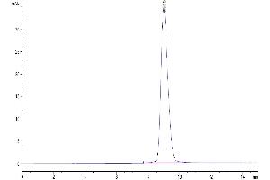 The purity of Human GPA34/VSIG1 is greater than 95 % as determined by SEC-HPLC.