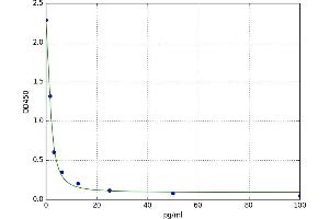 Free Thyroxine T4 (fT4) ELISA Kit