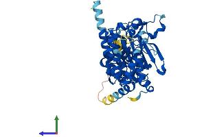 AlphaFold protein structure predicition of Mouse Recombinant Prim1 Protein, UniprotID P20664 (PRIM1 Protein (AA 1-417) (His tag))
