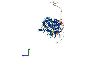 AlphaFold protein structure predicition of Human Recombinant SLC6A16 Protein, UniprotID Q9GZN6