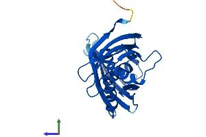 AlphaFold protein structure predicition of Mouse Recombinant Lxn Protein, UniprotID P70202