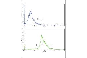 Flow Cytometry (FACS) image for anti-Paired Box 4 (PAX4) antibody (ABIN3002750) (PAX4 antibody)