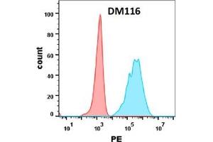 Flow cytometry analysis with Anti-OX40 (DM116) on Expi293 cells transfected with human OX40 (Blue histogram) or Expi293 transfected with irrelevant protein (Red histogram). (TNFRSF4 antibody  (AA 29-216))