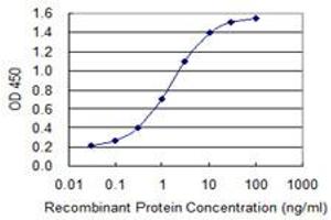 Detection limit for recombinant GST tagged MB is 0. (Myoglobin antibody  (AA 2-100))