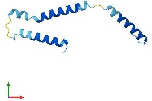 Protein Structure (PS) image for Dolichyl-Phosphate Mannosyltransferase Polypeptide 3 (DPM3) (AA 1-92) protein (His tag) (ABIN7547190)