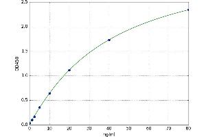 A typical standard curve (MAPK14 ELISA Kit)