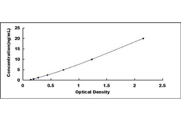 CD47 ELISA Kit