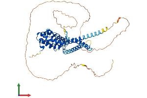 Protein Structure (PS) image for Target of Myb1 (Chicken)-Like 1 (TOM1L1) (AA 1-474) protein (His tag) (ABIN7560251)