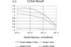 Black line: Control Antigen (100 ng),Purple line: Antigen (10 ng), Blue line: Antigen (50 ng), Red line:Antigen (100 ng) (LRP4 antibody  (AA 21-189))