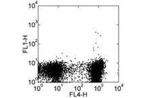 Image no. 2 for anti-Sialophorin (SPN) antibody (FITC) (ABIN473770)