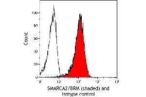 Flow Cytometry (FACS) image for anti-SWI/SNF Related, Matrix Associated, Actin Dependent Regulator of Chromatin, Subfamily A, Member 2 (SMARCA2) (AA 100-150) antibody (ABIN7795711)